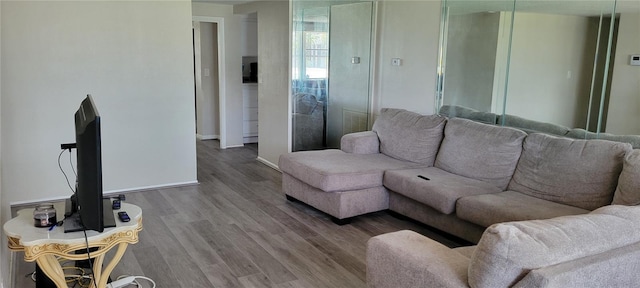 living room with wood-type flooring