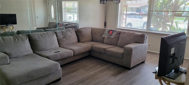 living room featuring wood-type flooring