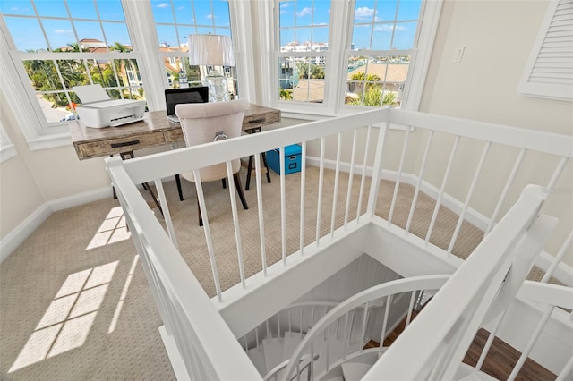 stairs featuring carpet flooring