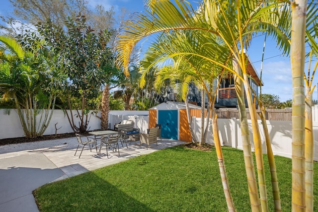 view of yard featuring a patio area and a storage unit