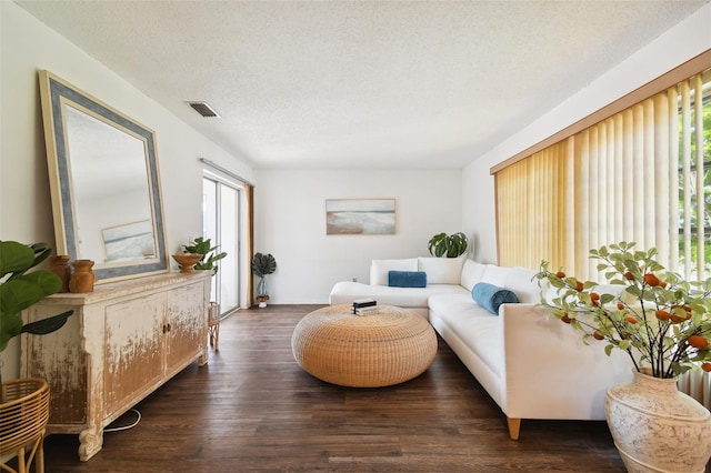 living room featuring a wealth of natural light, hardwood / wood-style floors, and a textured ceiling