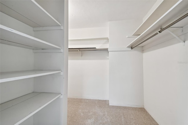 walk in closet with light colored carpet