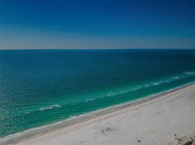 water view featuring a beach view