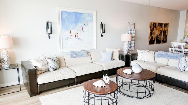 living room featuring light hardwood / wood-style floors