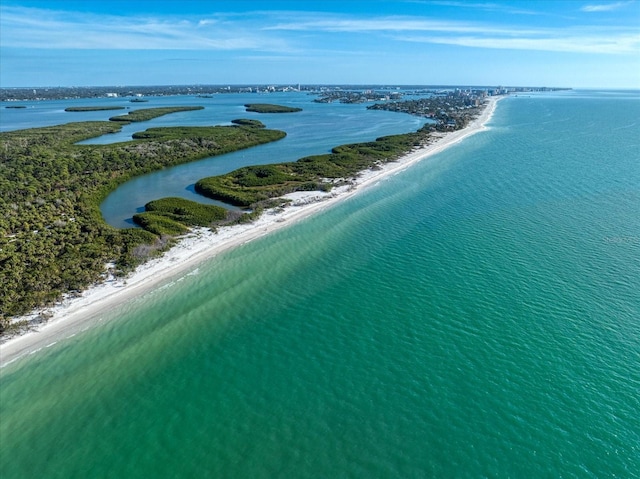 drone / aerial view with a water view and a view of the beach