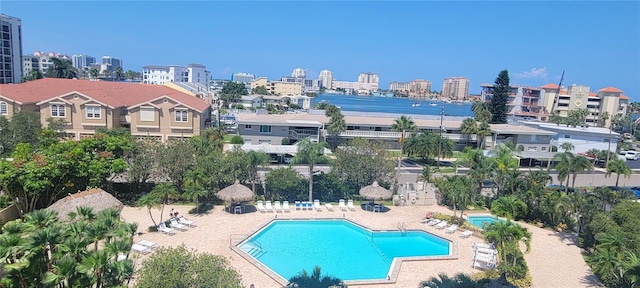 view of pool featuring a patio