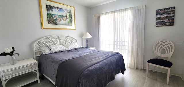 bedroom with wood-type flooring