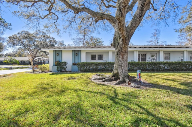 ranch-style home with a front yard