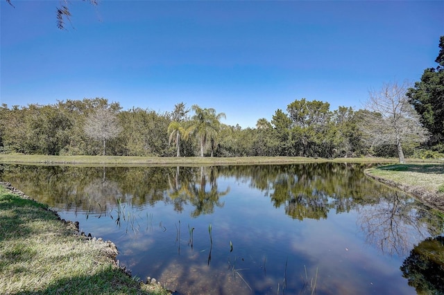 water view featuring a view of trees