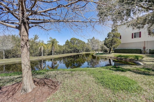 view of water feature