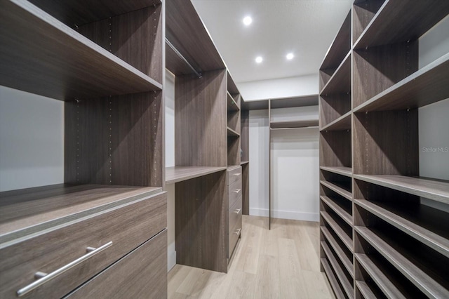 spacious closet featuring light hardwood / wood-style flooring