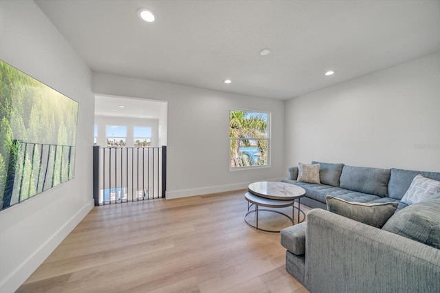 living room featuring a healthy amount of sunlight and light hardwood / wood-style flooring