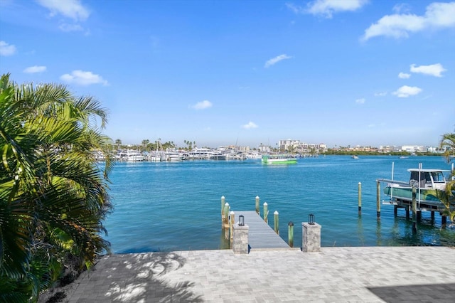 dock area featuring a water view