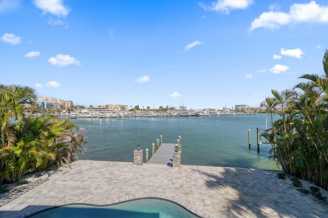 dock area featuring a water view