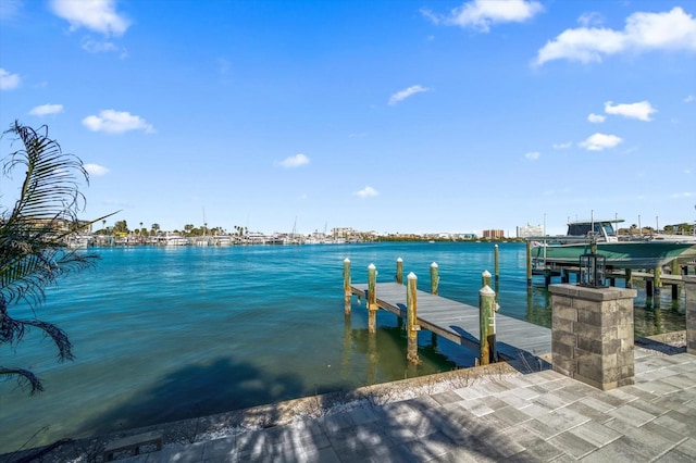 dock area with a water view