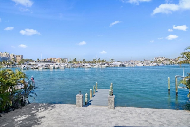 dock area with a water view