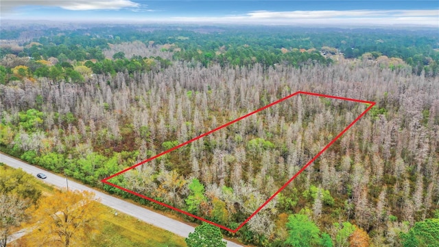 Drifting Sand Dr, Zephyrhills FL, 33544 land for sale