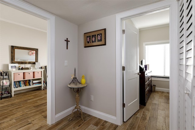 hall with dark hardwood / wood-style flooring