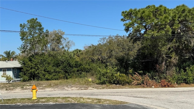 (Lot2)160 Anclote Road, Tarpon Springs FL, 34689 land for sale