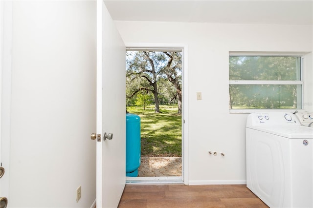 entryway featuring wood-type flooring