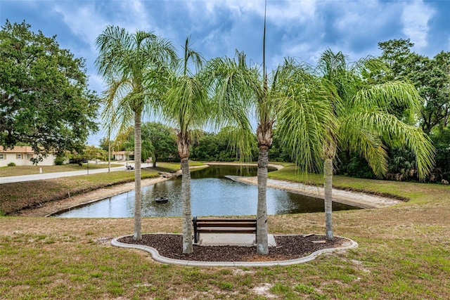 4136 Rhone Dr, New Port Richey, FL 34655 - photo 14