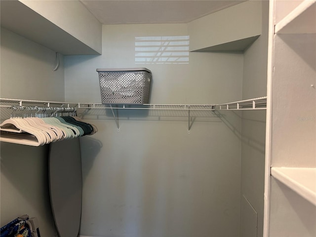 view of walk in closet