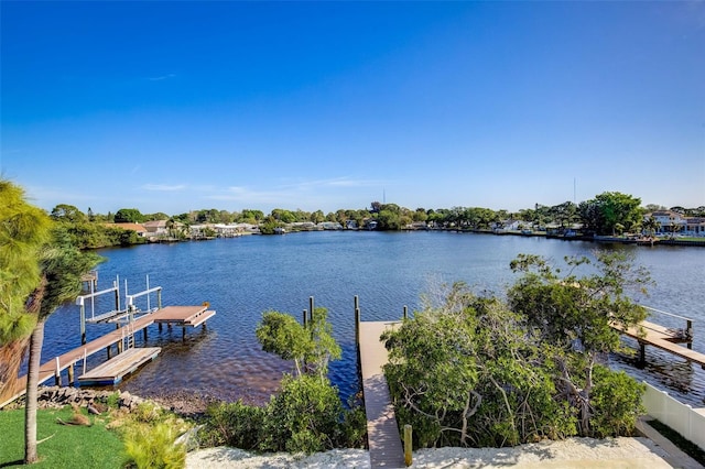 dock area with a water view