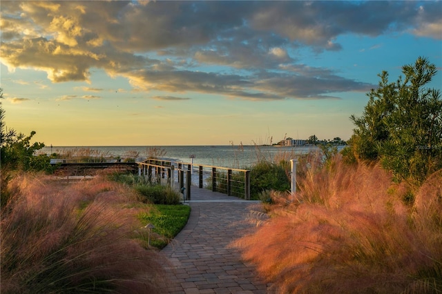 view of nearby features featuring a water view and a boat dock