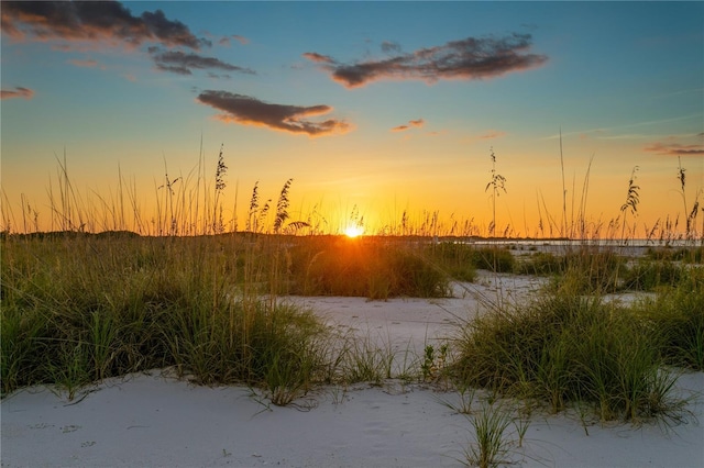 view of nature at dusk