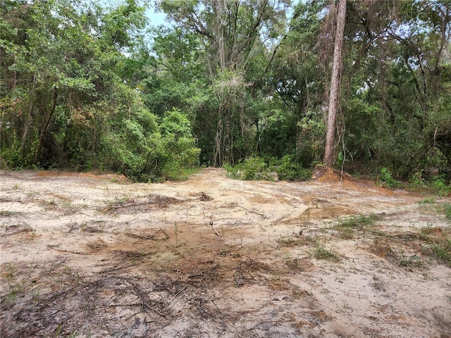 17686 Trojantown, Spring Hill, FL 34610