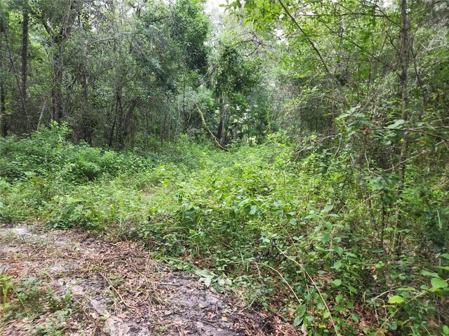 17686 Trojantown, Spring Hill, FL 34610