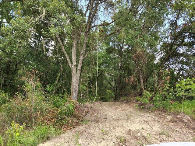 17686 Trojantown, Spring Hill, FL 34610