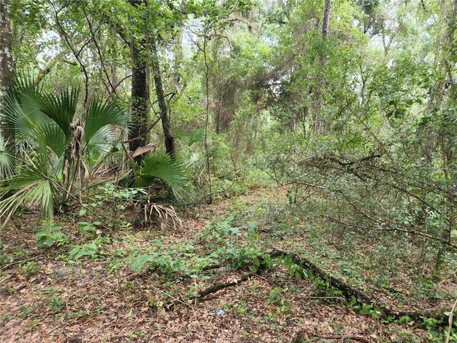 17686 Trojantown, Spring Hill, FL 34610