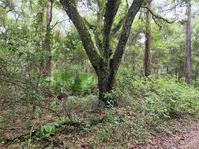 17686 Trojantown, Spring Hill, FL 34610
