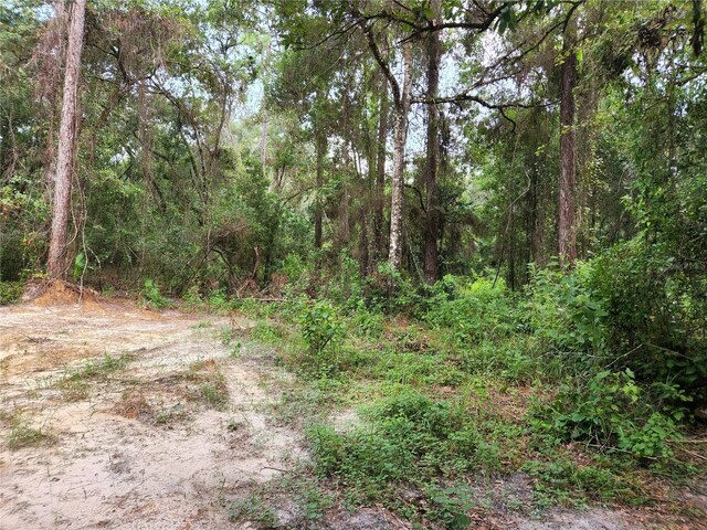17686 Trojantown, Spring Hill, FL 34610