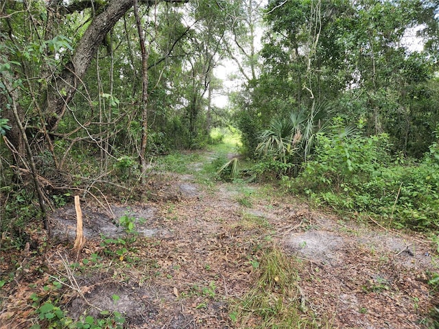 17686 Trojantown, Spring Hill, FL 34610