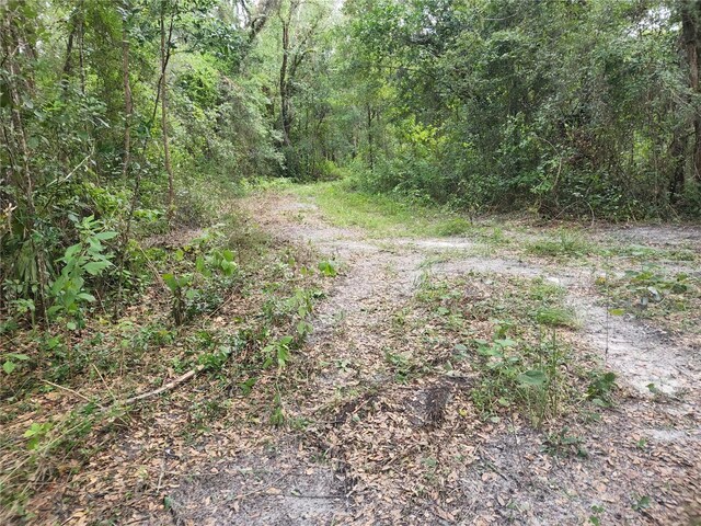 17686 Trojantown, Spring Hill, FL 34610