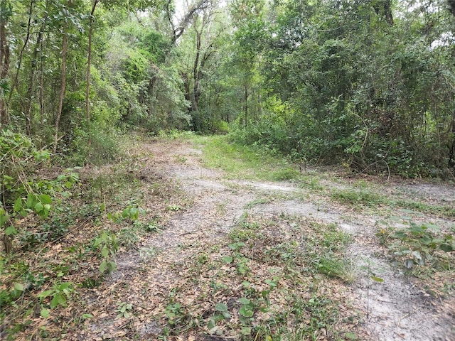 17686 Trojantown, Spring Hill, FL 34610