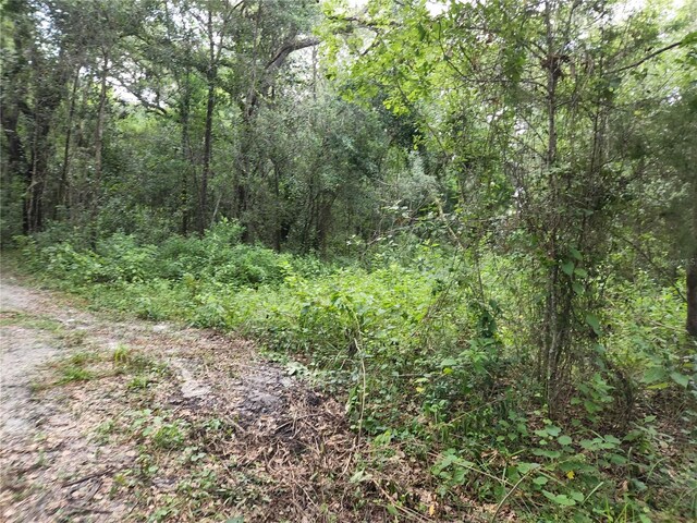 17686 Trojantown, Spring Hill, FL 34610