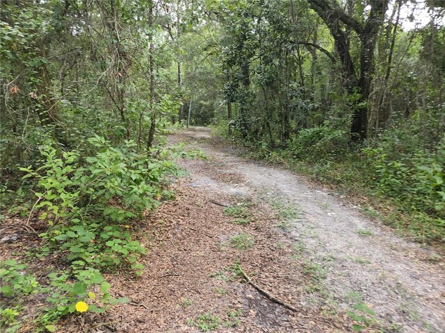17686 Trojantown, Spring Hill, FL 34610