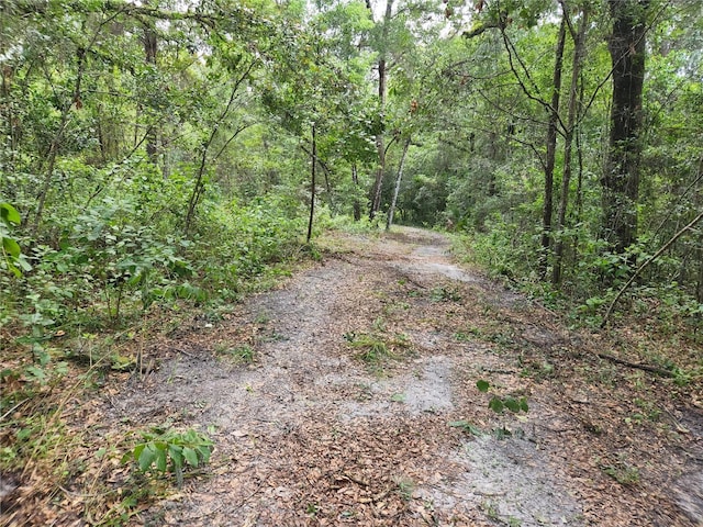 17686 Trojantown, Spring Hill, FL 34610