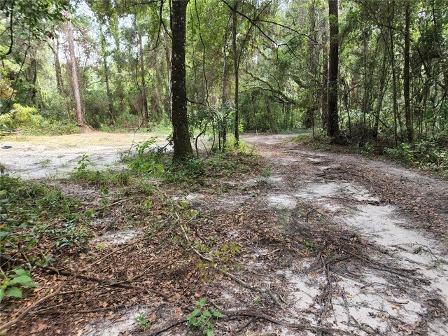 17686 Trojantown, Spring Hill, FL 34610