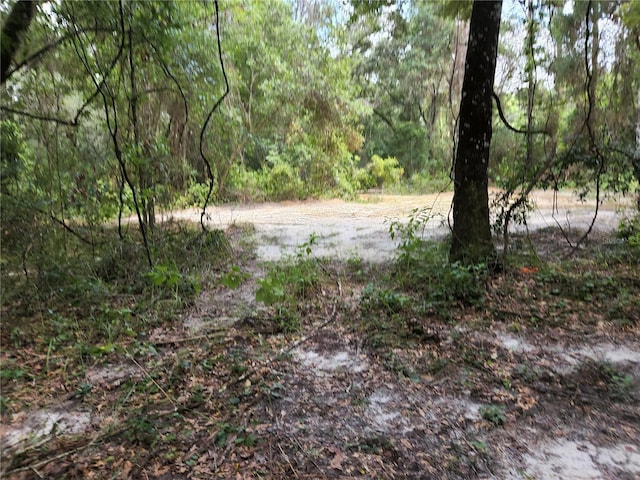 17686 Trojantown, Spring Hill, FL 34610