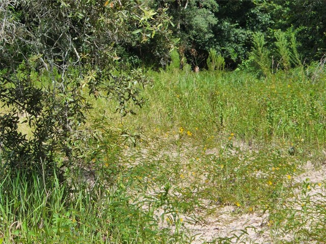 17686 Trojantown, Spring Hill, FL 34610