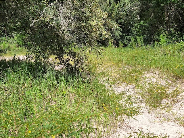 17686 Trojantown, Spring Hill, FL 34610