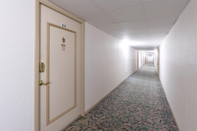 19029 US Highway 19 N Unit 9-404, Clearwater, FL 33764 - photo 44