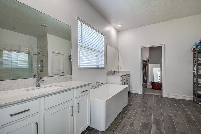 bathroom with independent shower and bath and vanity