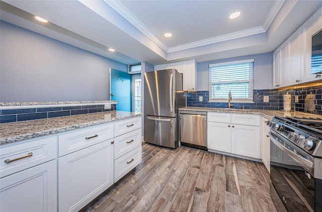 kitchen featuring a tray ceiling, light wood-style flooring, a sink, appliances with stainless steel finishes, and tasteful backsplash