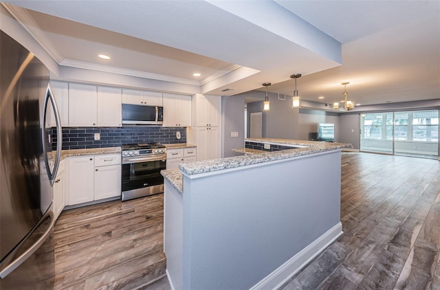 kitchen featuring ornamental molding, a tray ceiling, stainless steel appliances, decorative backsplash, and dark wood-style flooring