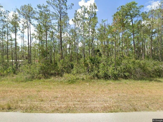 226/228 Woodburn Dr, Lehigh Acres FL, 33972 land for sale